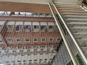 Balconies Pigeon Netting