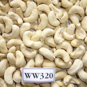 WW320 Plain Cashew Nuts