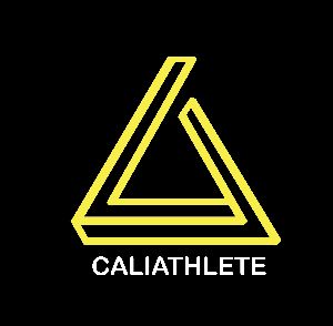 calisthenics training