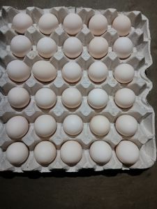 Brown Chicken Eggs