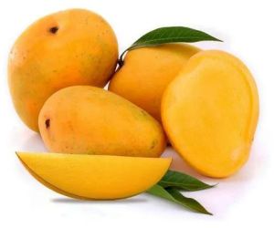 Fresh Yellow Mango