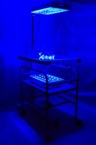 led phototherapy system