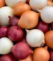 Fresh Onion