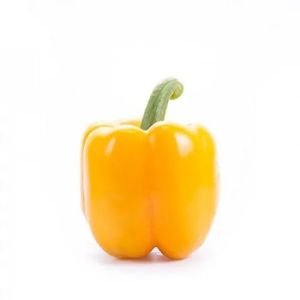 Yellow Bell Pepper