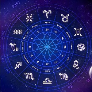 Astrologer Services