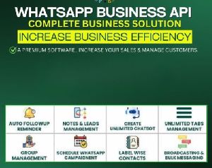 Whatsapp Business API