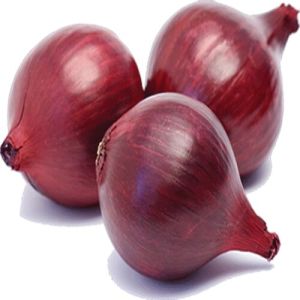 Red Nashik onion