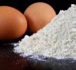 Egg Shell Powder