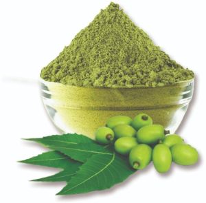 Herbal Neem Powder