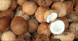 Coconut