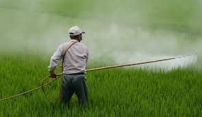 Herbicides