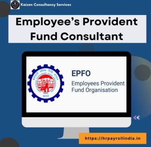 pf consultancy