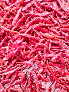 dried red chilies