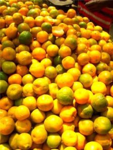 Jirapur Orange