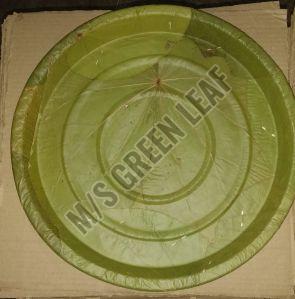 Green Siali leaves Plates