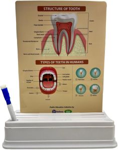 Medical Write Wipe Stand