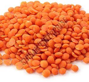 Orange Masoor Dal