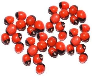 Red Rakt Gunja Seeds