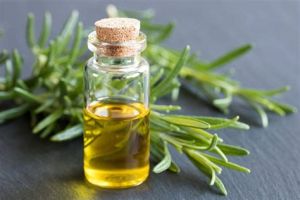 Herbal Essential Oil