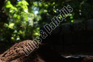 Organic Fertilizer