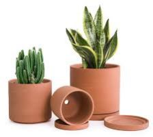 Terracotta Pots