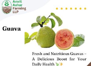 Fresh Guava