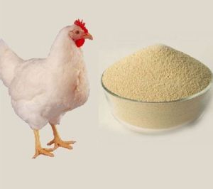 Poultry Feed Supplement