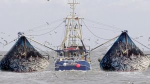 Trawler Fishing Boat