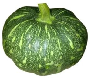 Fresh Green Pumpkin