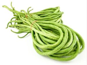 Fresh Green Yard Long Bean