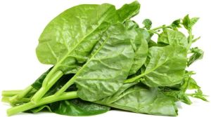 Indian Green Spinach( Pushak)