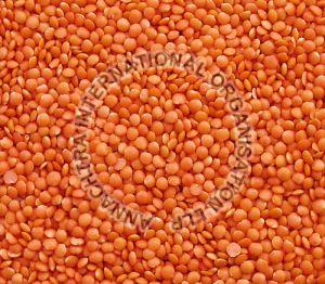 Split Red Lentils