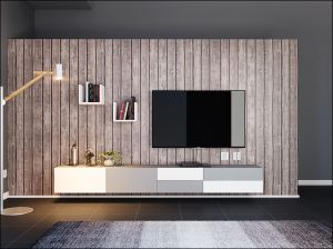 Solomon Modern Tv unit