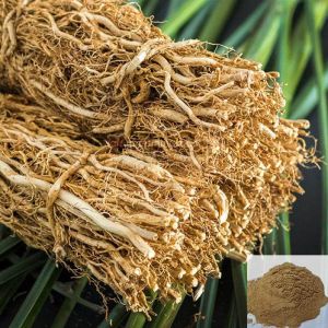 Vetiver / Coleus Vettiveroides Root Powder