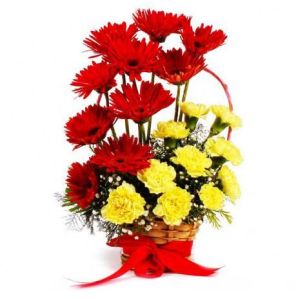 Stunning Dutch Gerberas Basket