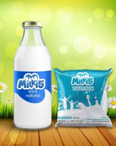 TAAZA MILK-500ml