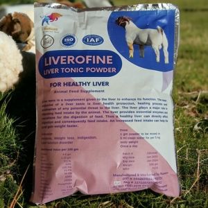 Liverofine veterinary liver tonic