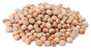 Pigeon Pea Pulses