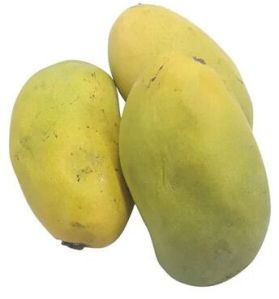 Rasalu Mangoes