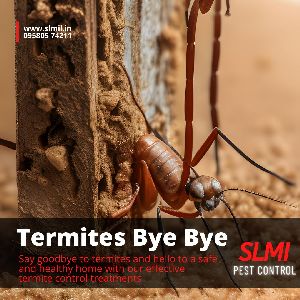 Anti Termite Soil Treatment