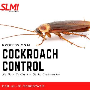 cockroach control services