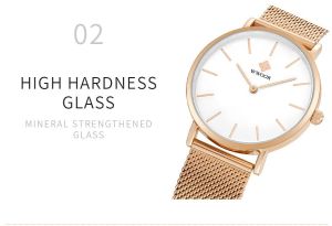 Zircon Watch