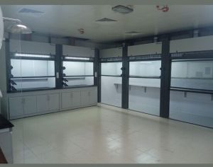 customisable large-scale experiments walkin fume hood