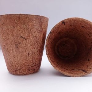 CoCo Coir Pot