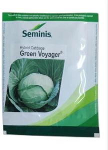 Seminis Green Voyager Cabbage Seeds