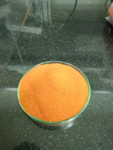 Spray Dried Carrot Powder