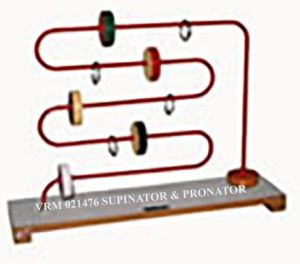 Zigzag Type Supinator Pronator