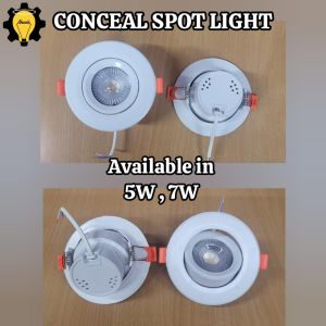 Conceal Spot Light