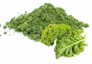 Spray Dried kale powder