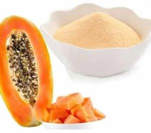 Spray Dried Papaya Powder